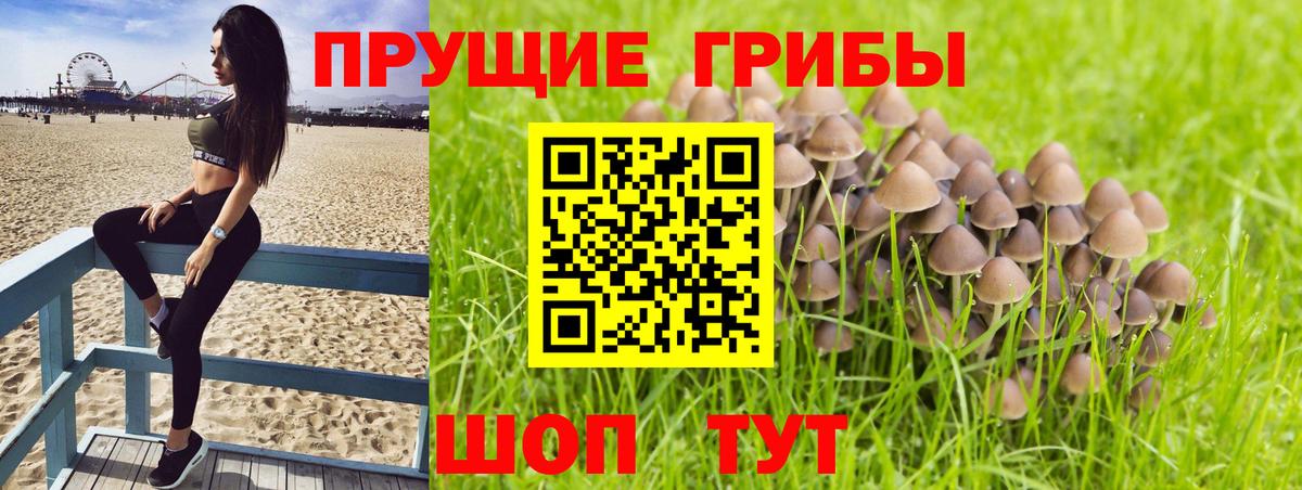 Галлюциногенные грибы Magic Shrooms Урай